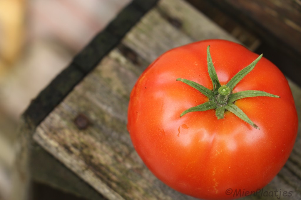 tomaat uit eigen tuin